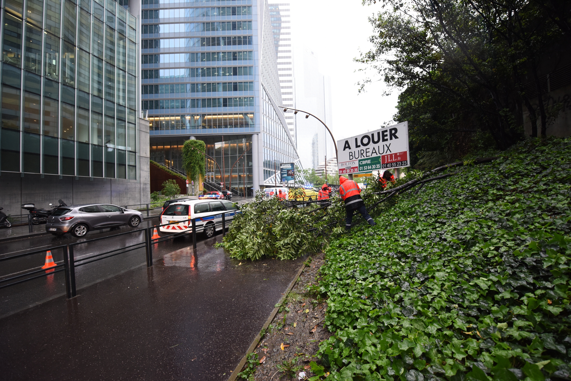 Un petit arbre est tombé sur le trottoir du boulevard circulaire nord ce lundi 30 mai 2016 - Defense-92.fr