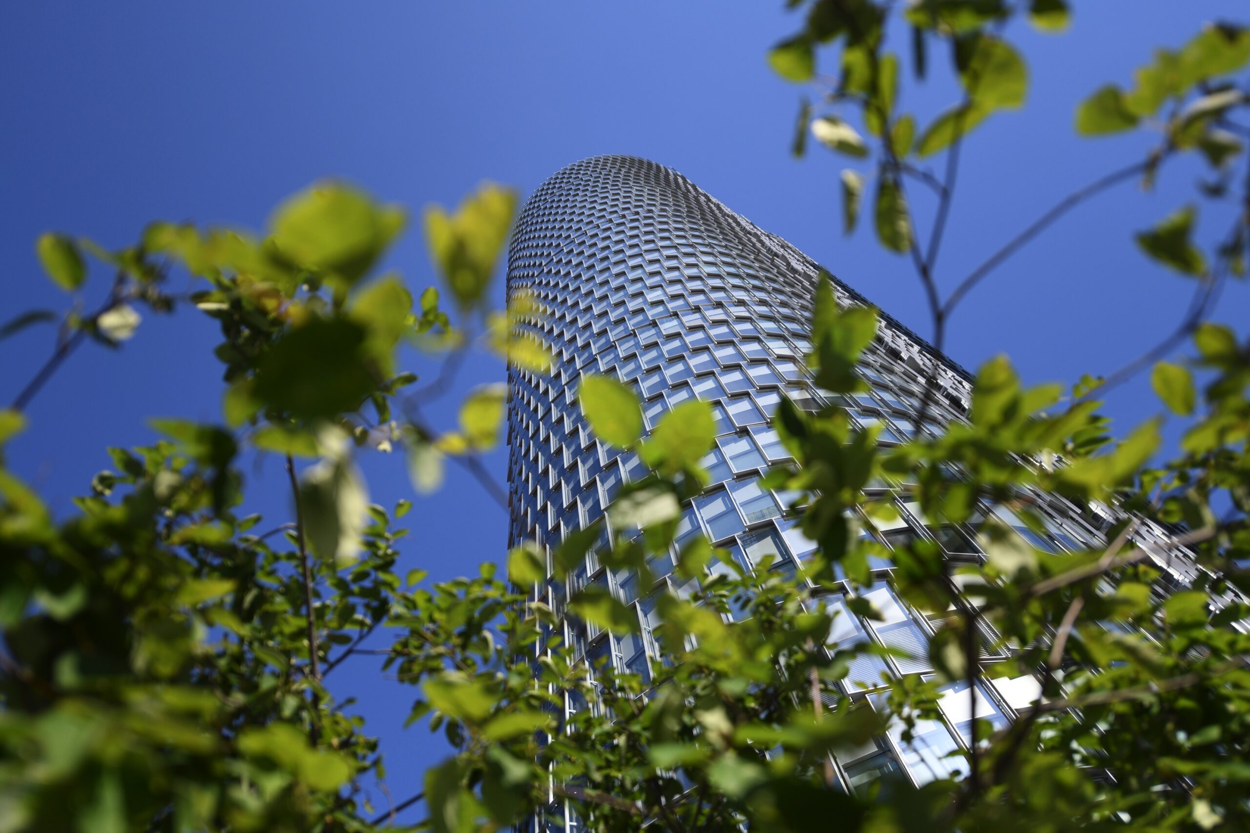 Deux nouveaux locataires conquis pour la tour Alto Defense92.fr