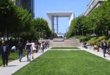 Paris La Défense veut mieux protéger ses arbres