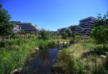 Arboretum, le campus en bois commence à se remplir